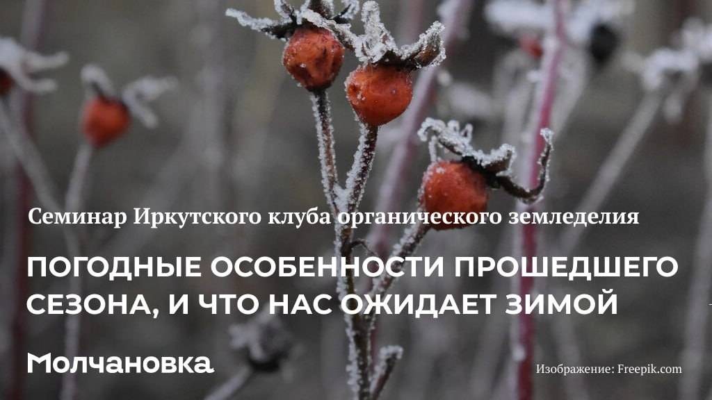 4 сезон 2 семинар. Погодные особенности прошедшего сезона и что нас ожидает зимой