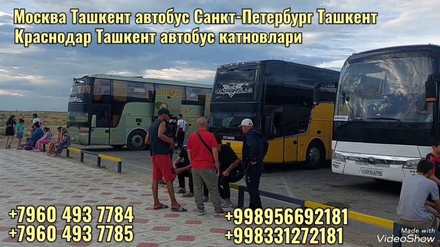 Москва Ташкент автобус 2024 | Санкт-Петербург Ташкент автобус