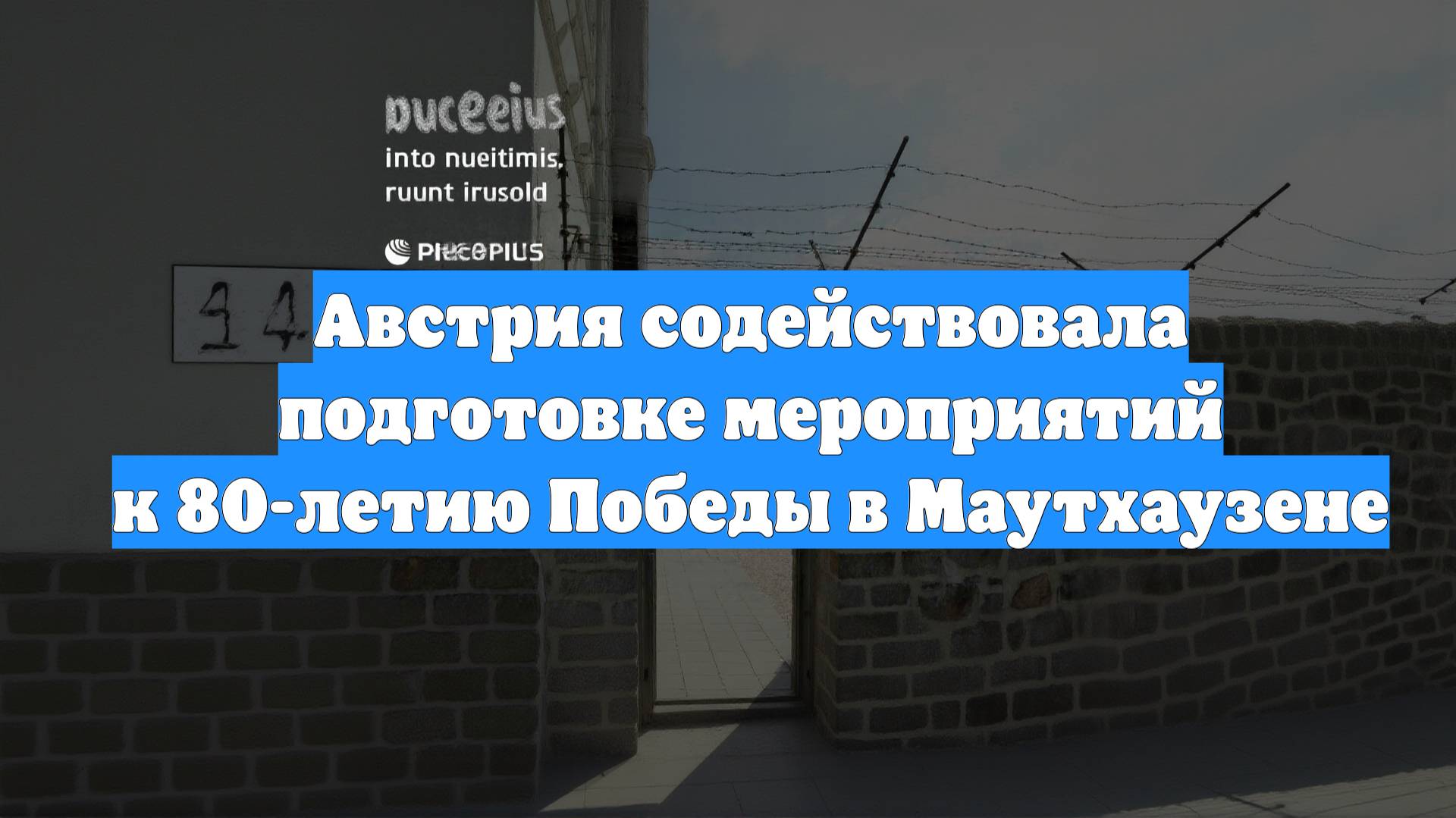 Австрия содействовала подготовке мероприятий к 80-летию Победы в Маутхаузене