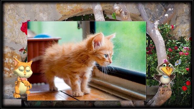 Моя любимая бестия