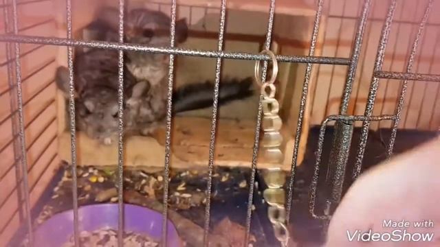 Вот такая Любовь!🤗🤗🤗🤗🤗😍😍😍😍😁❤❤❤❤❤❤❤❤❤ смотреть онлайн