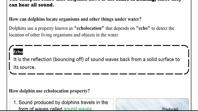 SCIENCE | Grade 4 | Dolphin Super Senses | Unit 1 - Concept 2 - Lesson 1 смотреть онлайн