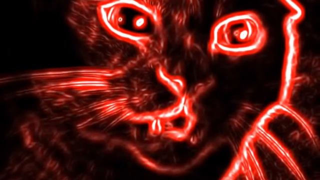 Don't Pet This Neon Kitty (VOLUME WARNING ⚠️) mad ◻️😾 смотреть онлайн