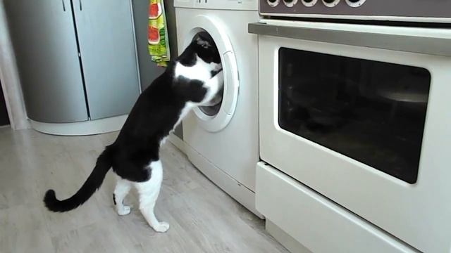 DSCN1087 смотреть онлайн