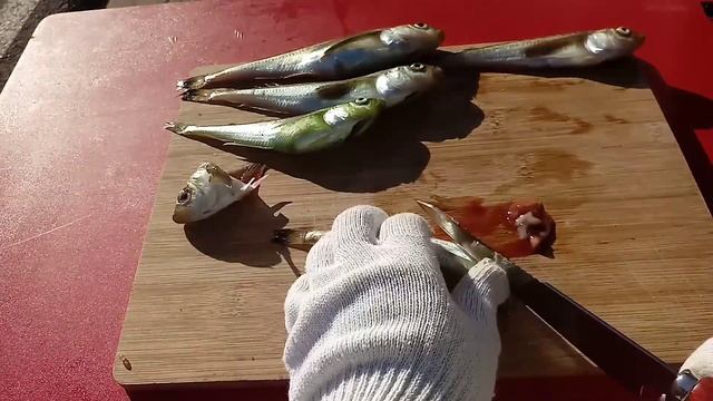 [ 서민낚시 48회 ] 도루묵 손질하는 방법. 요렇게 손질해서 겨울내 드세요.. смотреть онлайн