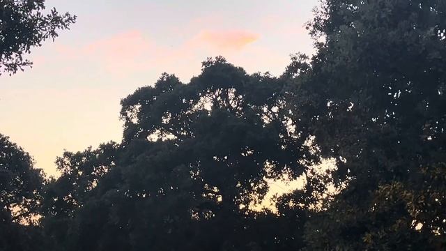 Day 113, Rev 8:4 “The Day of the Saints, Part 2” смотреть онлайн