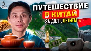 Путешествие за долголетием в Китай. Едим золотых гусениц, сверлим камни и поднимаемся к Фениксу