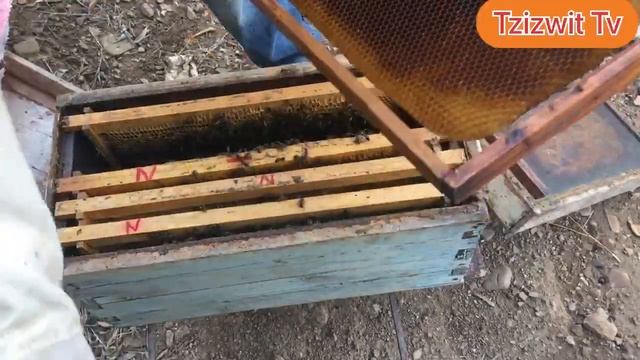 Traiter contre le Varroa смотреть онлайн