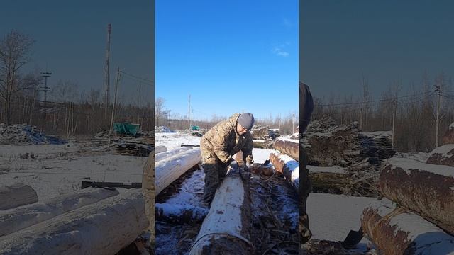 Окорка брёвен