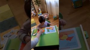 Золотая рыбка (нас 1 год 5 мес)