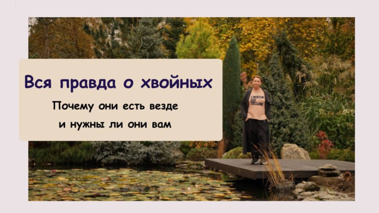 ВСЯ ПРАВДА О ХВОЙНЫХ: почему они есть везде и нужны ли они вам