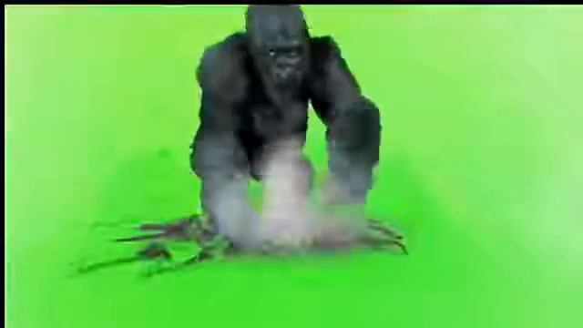 Green Screen Gorilla +FREE Download смотреть онлайн