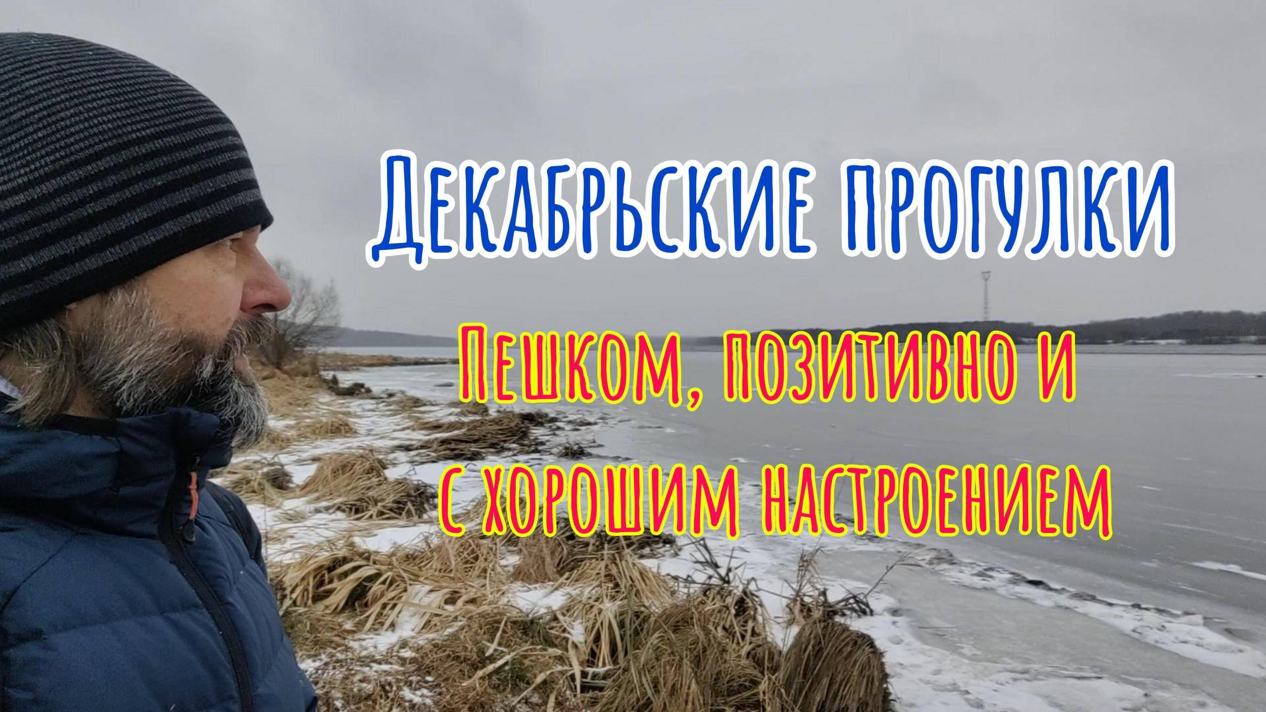 Декабрьские прогулки #кострома #наприроде #волга #хорошеенастроение