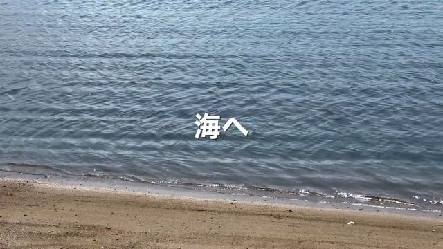 トミーズ雅さんの別荘に呼ばれた!【夏のVLOG】