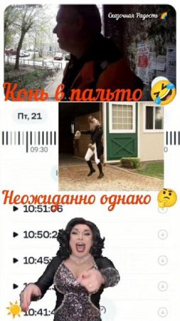 Неожиданно пришел конь 🐎 в пальто 🙄 Живём с юмором 🤣
