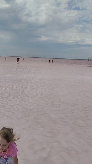 Розовое озеро. Яровое. смотреть онлайн