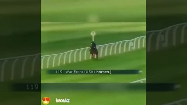 Самая быстрая лошадь смотреть онлайн