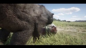 Red Dead Redemption 2 | Ninja Turtle Vs Grizzly Bear