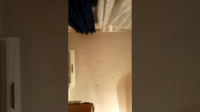 15 августа 2017 г. смотреть онлайн