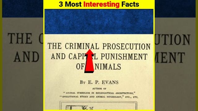 OMG! Top 3 Most Interesting Facts 🤯 | #shorts #TheFact смотреть онлайн