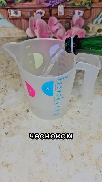 Суперпопулярные малосольные помидоры на минеральной воде