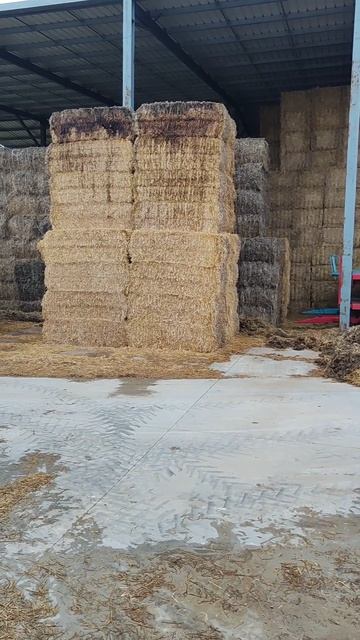 Дальнобойщик.Груз Франция - Голландия смотреть онлайн