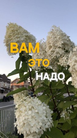 Вам это надо