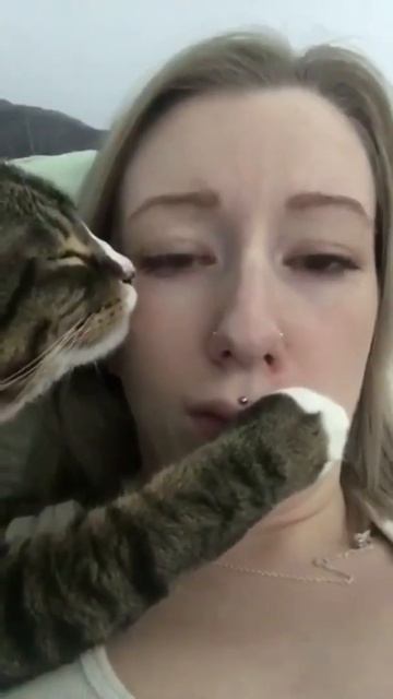 Advanced Liquid African wild cat смотреть онлайн