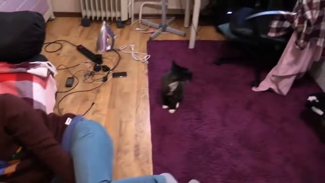 ЧТО В КОРОБКЕ? смотреть онлайн