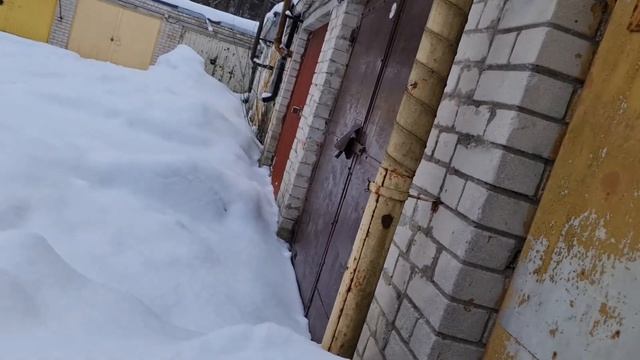 4152 Ферментация корма червя морозом