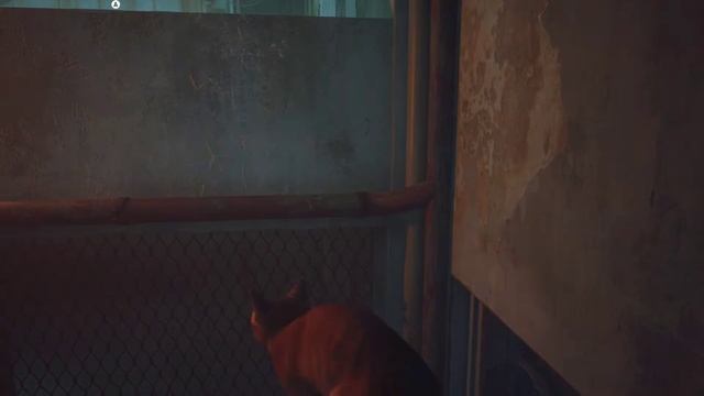 STRAY - Прохождение игры на русском языке #4
