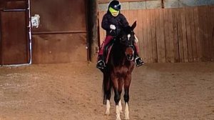Флейта и Лера, манежная езда 1.2, #horse #equestrian #лошади #pony
