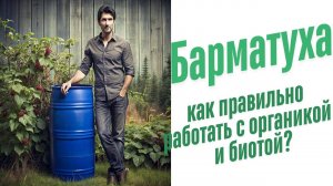 Основные способы питания растений.
