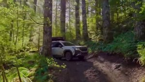 Новый Subaru Forester Wilderness на легком бездорожье