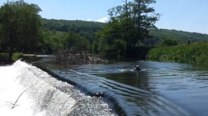 Swimming at Warleigh Weir (a.k.a Claverton Weir) (2)