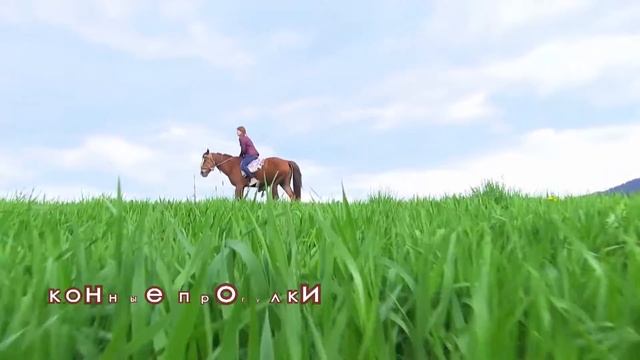 Эдельвейс