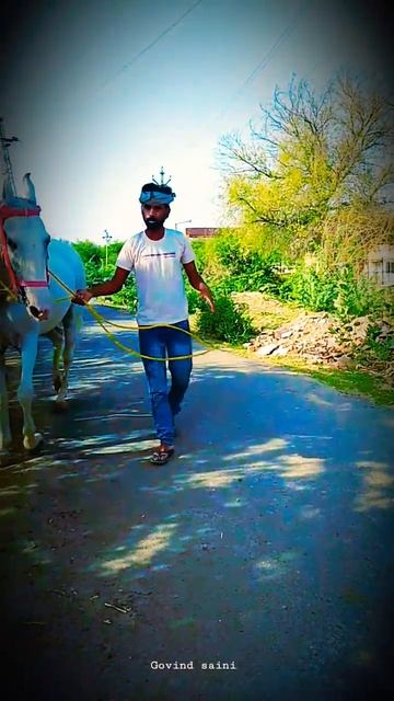 lilan singar l Ghodi dance videos #viral #trending#viral  #youtubeshorts  #shortvideo #ghodi#like