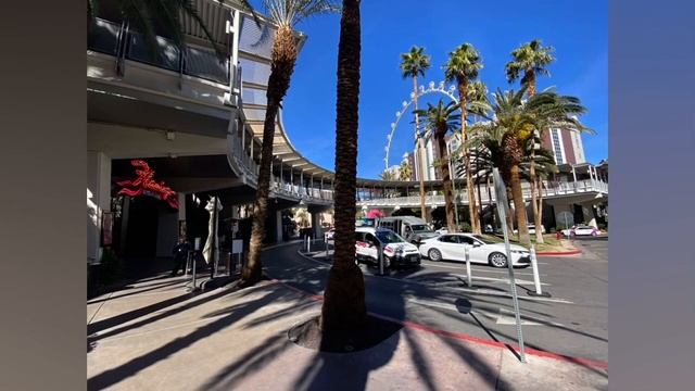 U.S.A. ; Las Vegas, NV 89109, Flamingo Hotel & Casino (Photos ONLY) [2023/03/02(Thurs)] part 3 смотреть онлайн