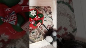 украшаем таба лапки лайфхаки