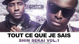 The Shin Sekai - Tout ce que je sais (Son Officiel)