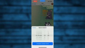 Как отправлять сообщения в Телеграмме по Таймеру