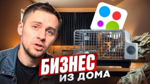 🔥 Как Я Запустил Магазин Клеток на Авито | Реальный Опыт и Разбор Ошибок
