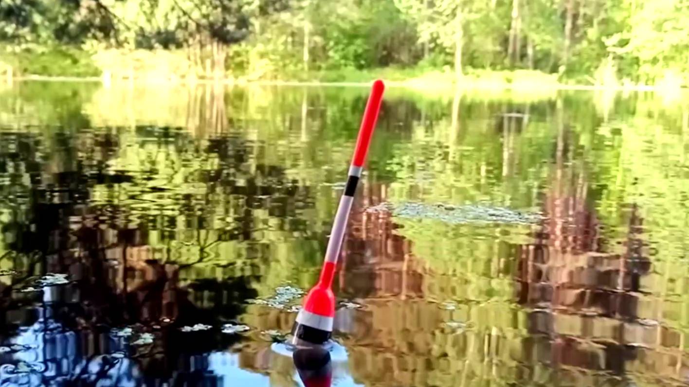 ПОПЛАВОЧНАЯ СНАСТЬ С КОРМУШКОЙ В БОЕВЫХ УСЛОВИЯХ. Активный клёв крупной рыбы смотреть онлайн