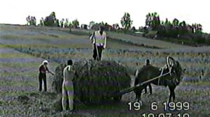 первомайск. деревенские будни поле, сенокос, велосипед. семейный архив