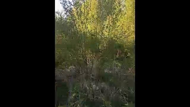 Участок