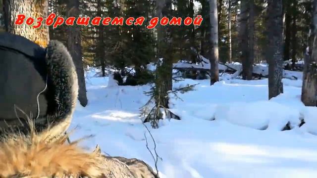 Третий день маленького зимнего отдыха смотреть онлайн