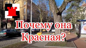 Улица Красная: история и прогулка по самой длинной улице Калининграда