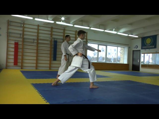 ката СК "БУДО" техника каратэ смотреть онлайн