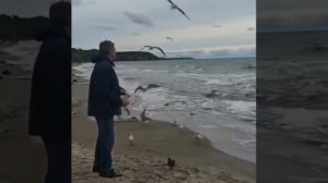 Светлогорск! Отдых душою!