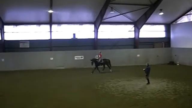 dressur for jimmi.wmv смотреть онлайн